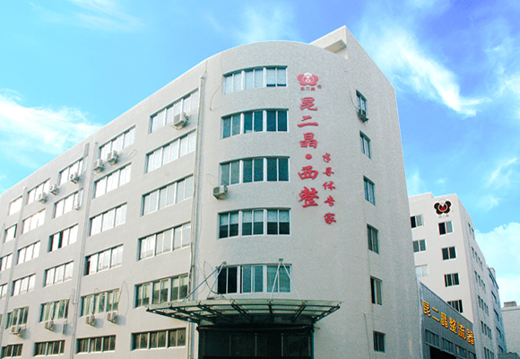 公司简介