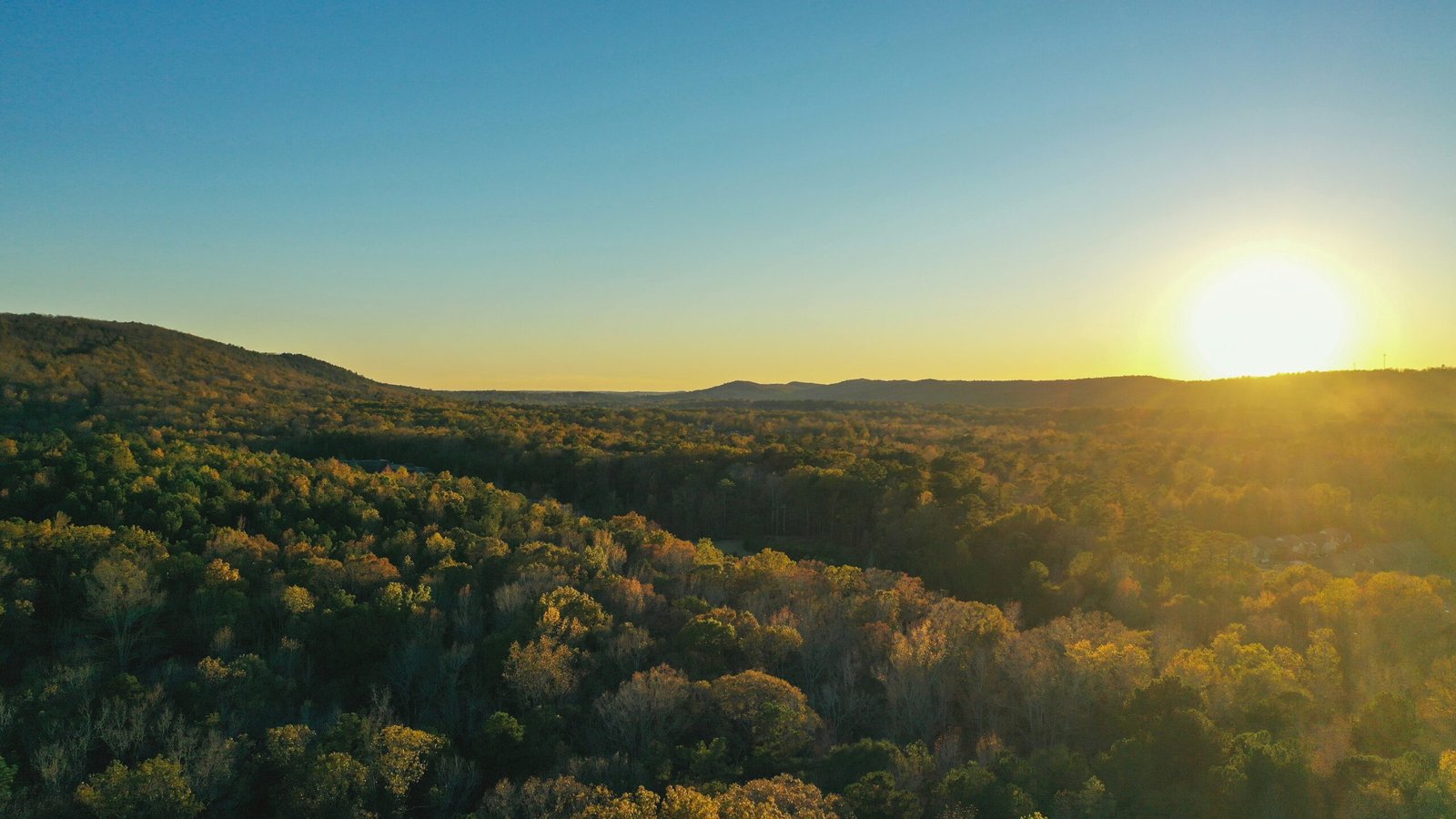 Alabama: The Beautiful Yellowhammer State