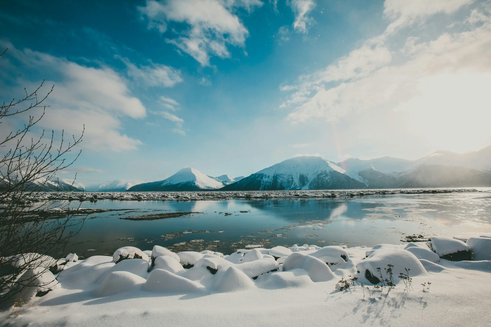 Discover the Wonders of the Alaska SeaLife Center