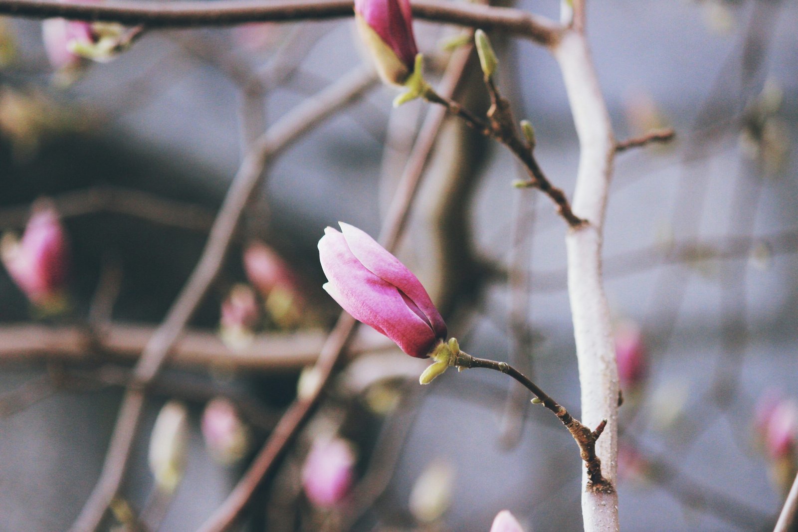 Uncovering the Hidden Treasures of Magnolia Springs: A Charming Gem on the Magnolia River