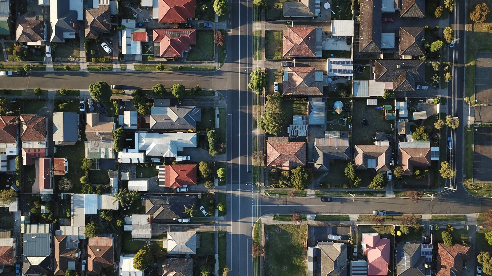 The Quirky World of Joe’s Neighbors